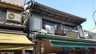 リアルな猫のオブジェ