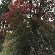 高取城跡:紅葉に惹かれ高取山ウォーキング