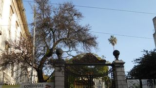 植物園 国立自然史博物館