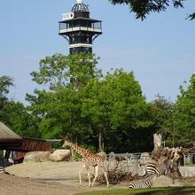 コペンハーゲン動物園