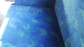 日本を代表する企業の粋な計らいで運営されている無料バス