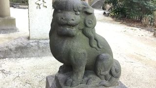 ドブ板から坂を上ると、格式の高そうな神社がありました