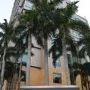 窓からサイゴン大教会、郵便局など眺めることができる最高の立地の新しいホテル