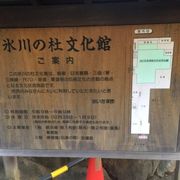 入り口の竹林が良い