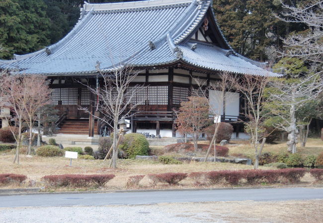 京田辺市の寺社巡りで大御堂観音寺に寄りました