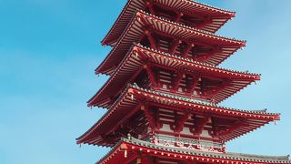 美しいコントラスト