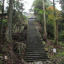 すごい階段です