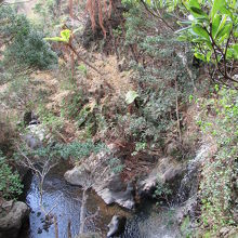 湯船から見える景色。裏見ケ滝が見える訳ではありません。