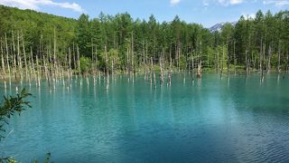 空よりよ濃いブルー！