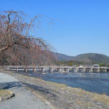 中ノ島と渡月橋。桜が咲いていたらきれいだったでしょう。