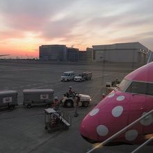 空港(羽田第1)に来てみたら,新さくらジンベエでした!!