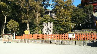 鶴岡八幡宮の大銀杏