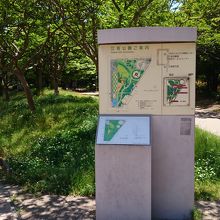 整備された公園