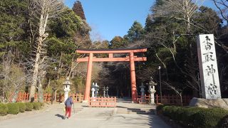 巨木もあり、風格がある。