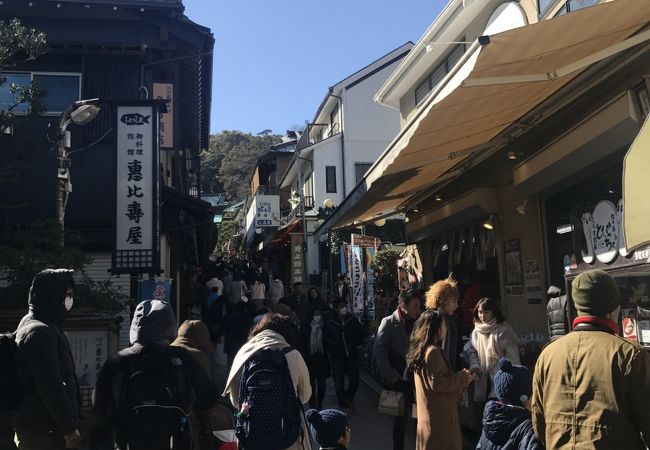 藤沢 江ノ島のおすすめ観光スポット クチコミ人気ランキングtop フォートラベル 神奈川県