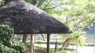 風情を感じつつゆっくり休憩するのに便利