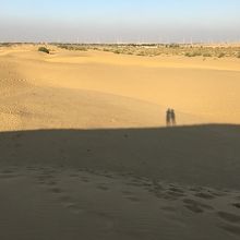 砂漠で大人げなくはしゃいでしまいました