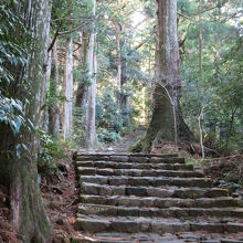 マイナスイオンいっぱい。でもキツイ！