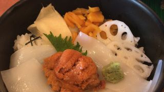 新橋の大和鮨、うにイカ丼なんと６００円