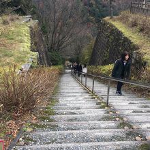 かなり急な階段もあります