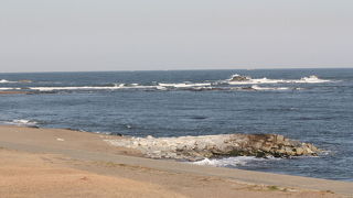 クロガモを見てきました。