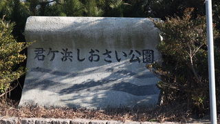 キビタキを見てきました。