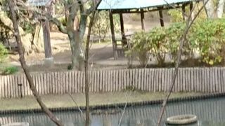 水面が見る人を浄める