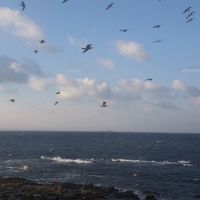 部屋からの眺めです