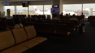 羽田空港ターミナル ビッグバード