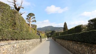 緑の生け垣が印象的な通りです