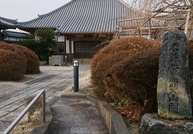 徳川家康と縁のあるお寺