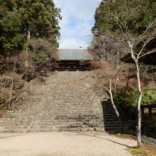 神護寺の紅葉の名所の一つ、「金堂」前の階段です。