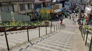 ここでも猫には会えませんでした