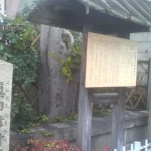 天王寺公園の北側を通る国道沿いにあります