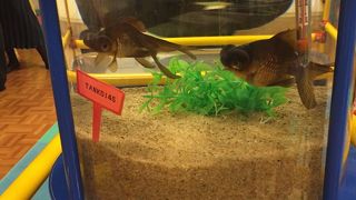 赤ちゃん連れによい