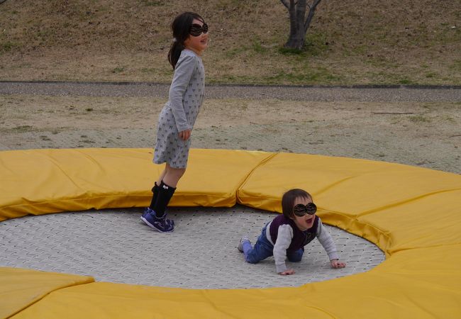 広くて遊具がたくさん