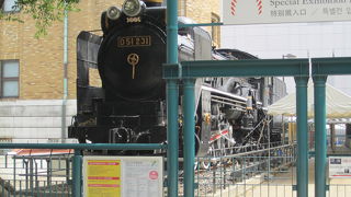 国立科学博物館、野外とは思えない美しい保管状態