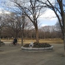 茅ヶ崎中央公園