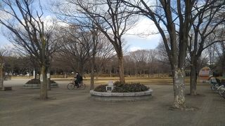 茅ヶ崎駅から近い