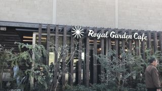春が段々と近づく大濠公園のロイヤルガーデンカフェでランチをしました。