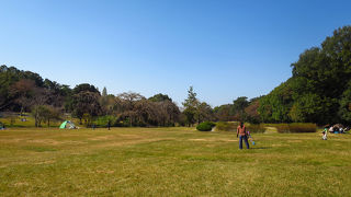 Even if you stay in this park for a day, you'll not get tired