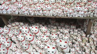 招き猫がいっぱい