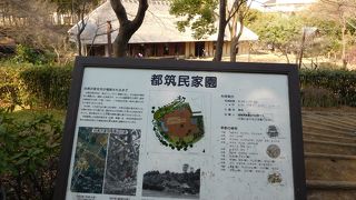 ひな祭りウィークは見応え有