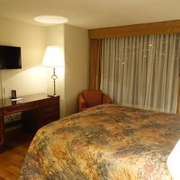 夜景もきれいに見えました。