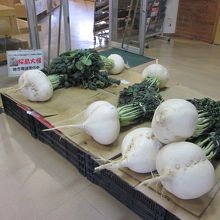 名物！桜島大根