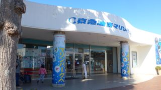 近海に住む沢山のお魚を見ることが出来ます!!