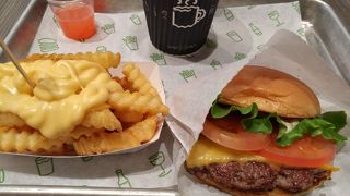 ドームにも登場！