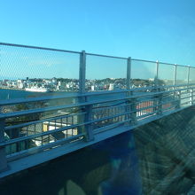 補修工事中の大橋を通って三崎漁港方面へと戻ります