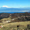 富士山、駿河湾、笹原の稜線が美しい