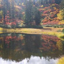 高原沼の美しい紅葉